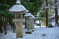厳粛な参道 長寿寺
