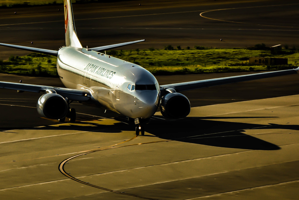 西陽に照る737