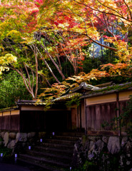 秋の山門