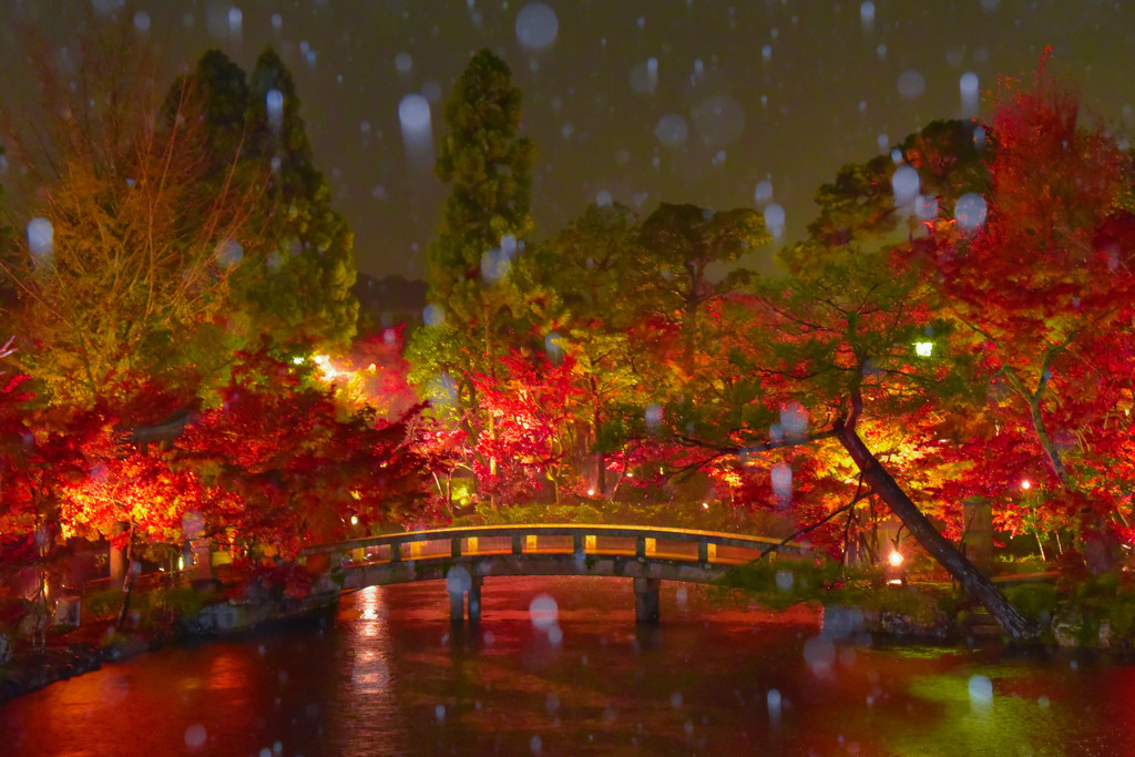 秋雨に打たれる紅葉の名刹