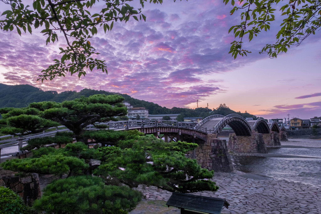 錦帯橋　朝