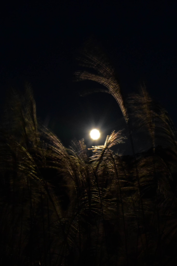 秋の夜風