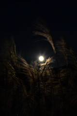 秋の夜風