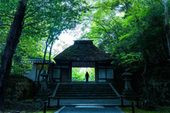 新緑の御寺