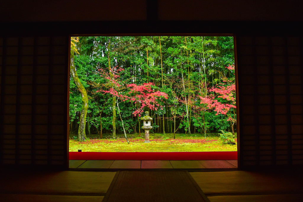 竹のお庭の紅葉