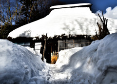 雪と生きる