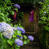 紫陽花の館