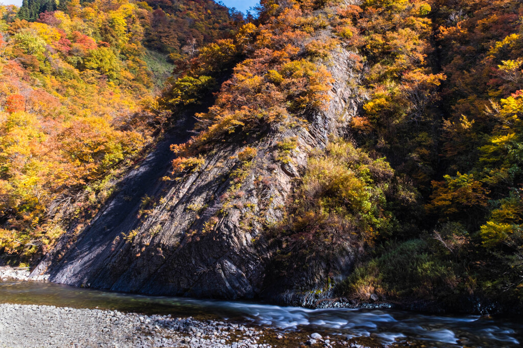 紅葉の岩