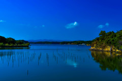 英虞湾　夏の入江