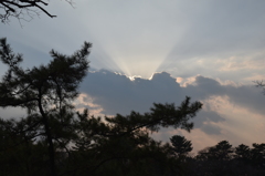 雨上がり