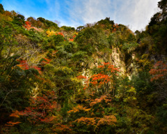 紅葉が登る天狗柱岩