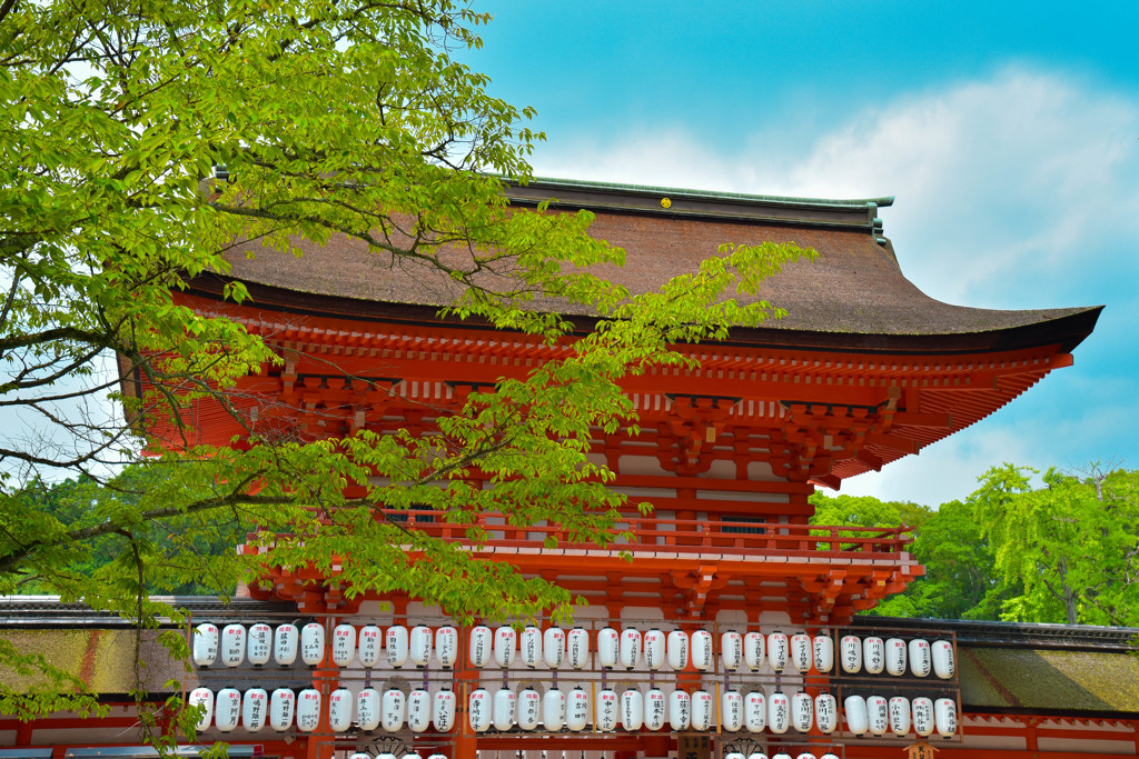 下鴨神社　桜門