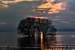 長浜 夕景