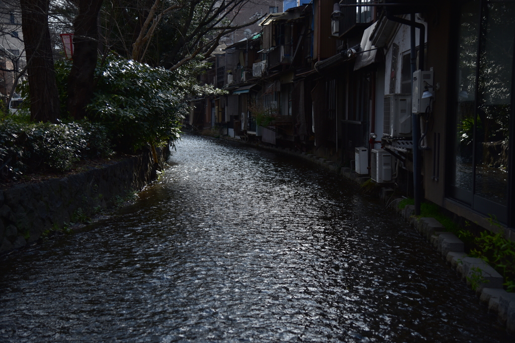 祇園裏通り　白川