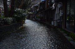 祇園裏通り　白川