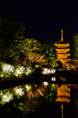 夜景　東寺