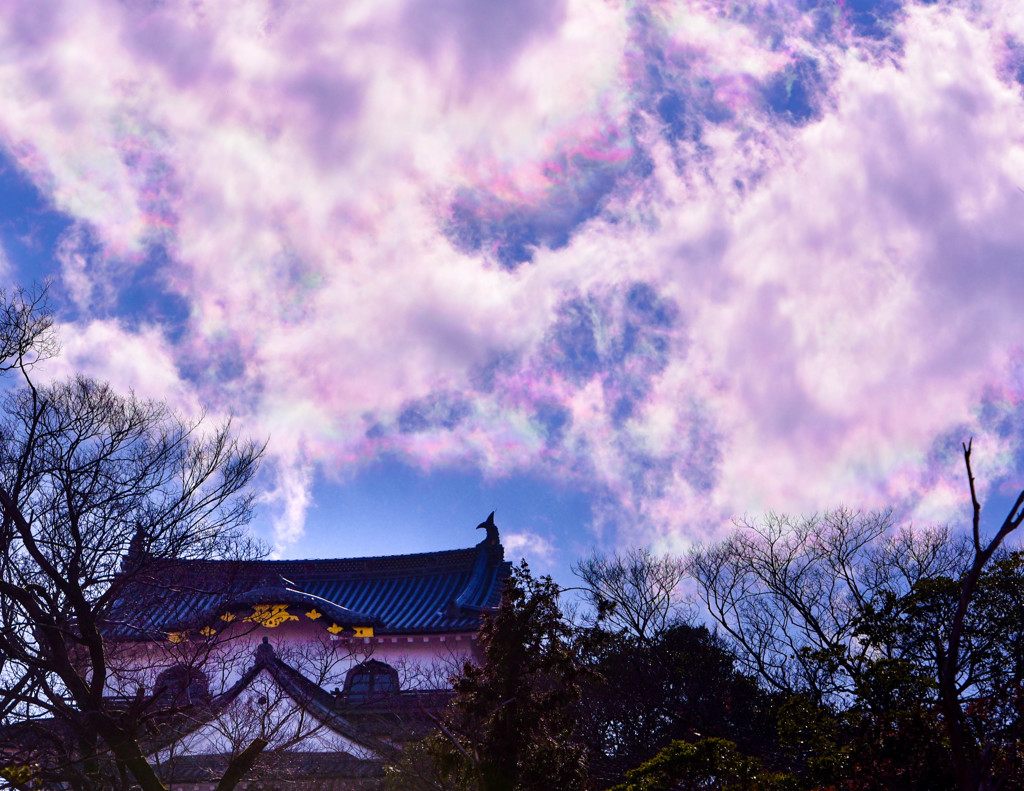 冬空のお城