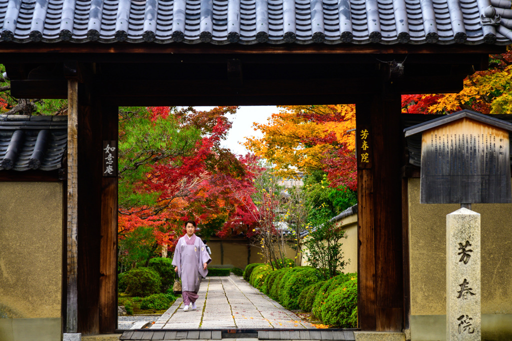 大徳寺の秋