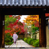 大徳寺の秋