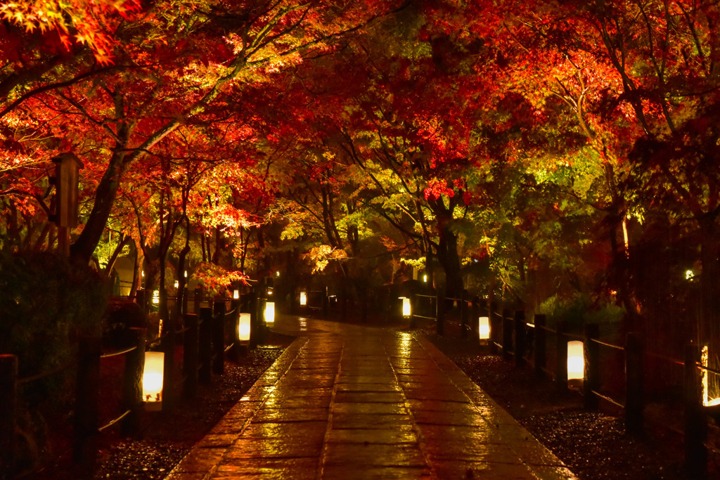 雨の石畳