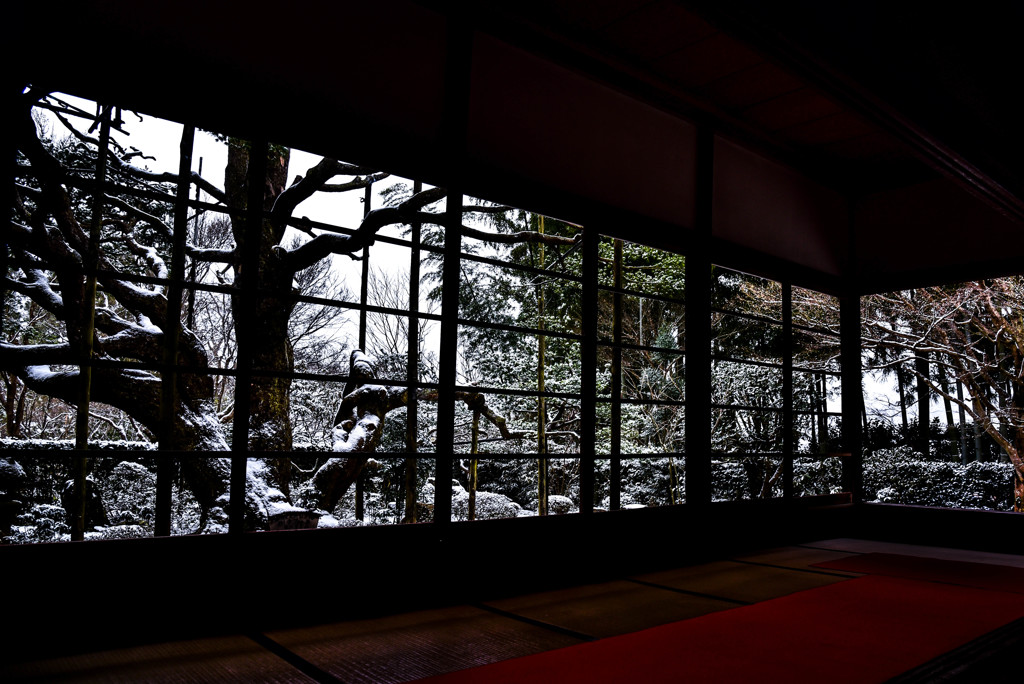 宝泉院 風雪