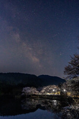 銀河の夜桜