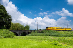 夏の通勤電車　ひまわり色