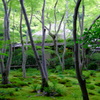 京都 祇王寺 悲恋