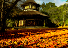 落紅葉 芭蕉 俳聖殿