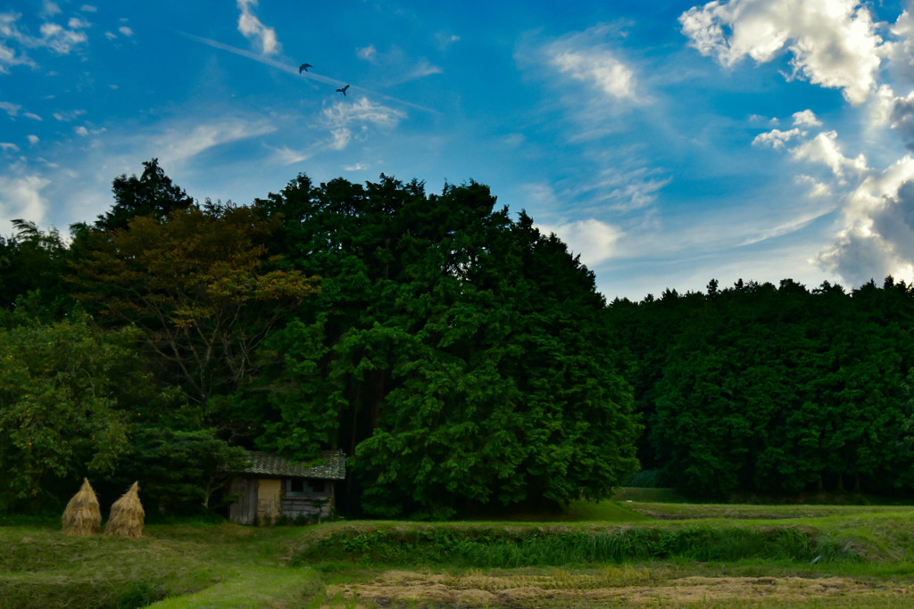 秋　日本の原風景