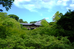 盛夏 東福寺