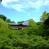 盛夏 東福寺