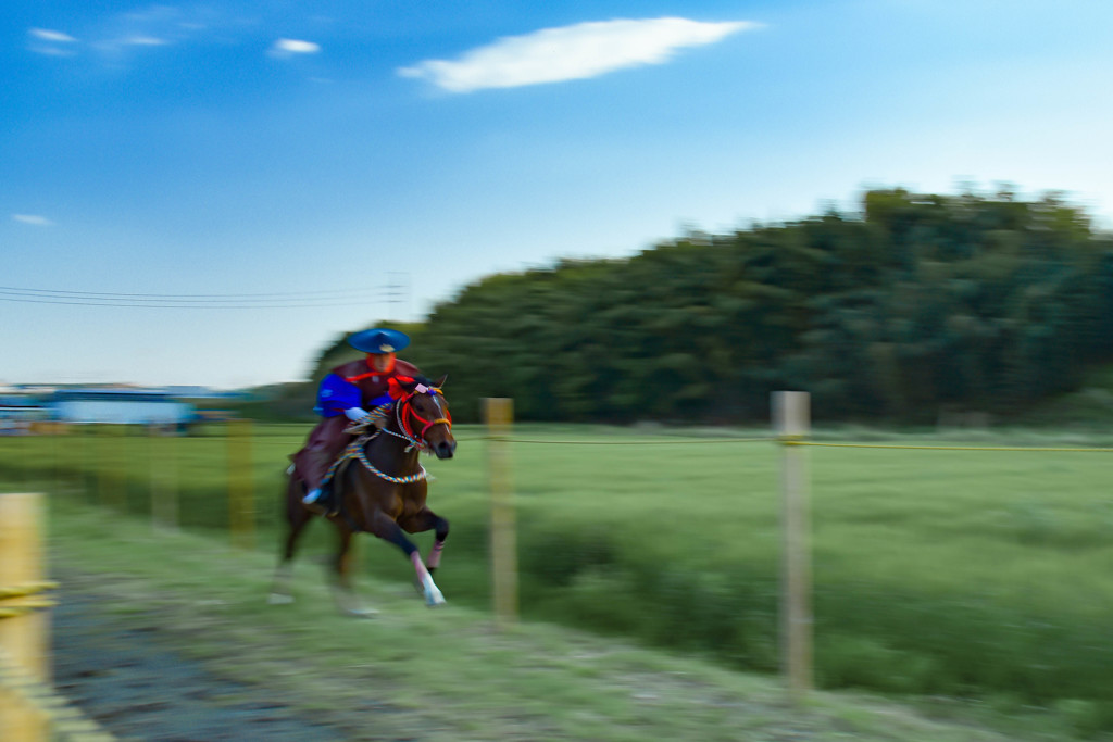 駆け抜ける 上げ馬神事
