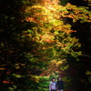 遠州の紅葉