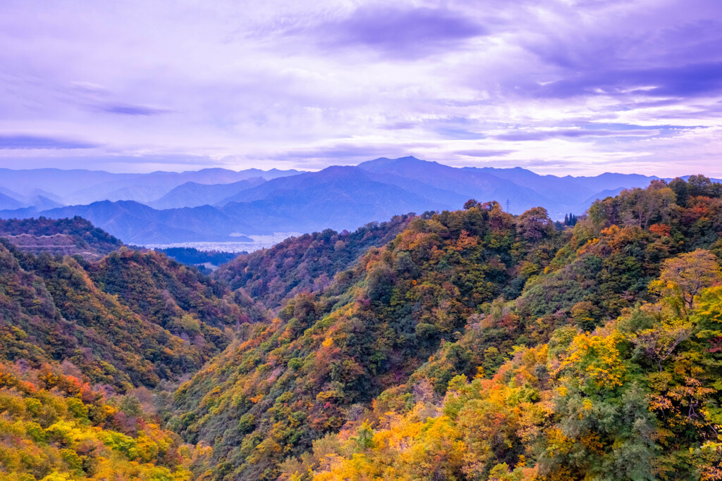 魚沼景