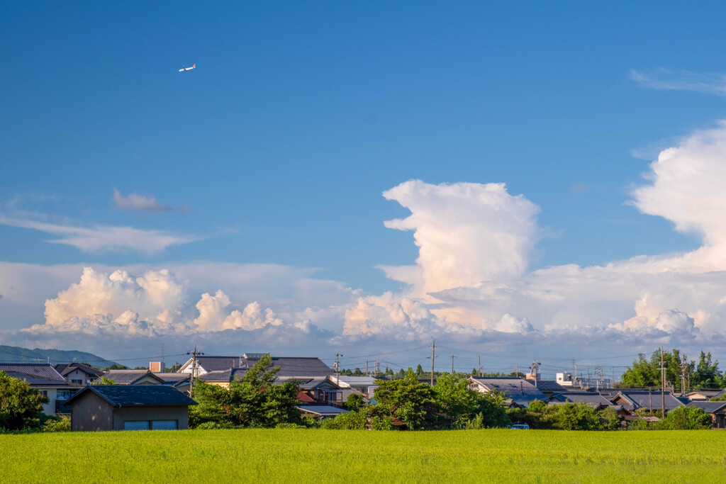 ある夏の日