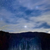 星が照らす林