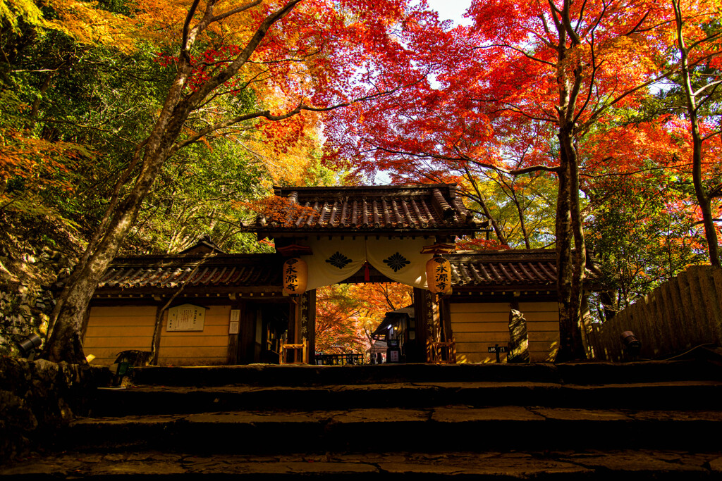 2021永源寺