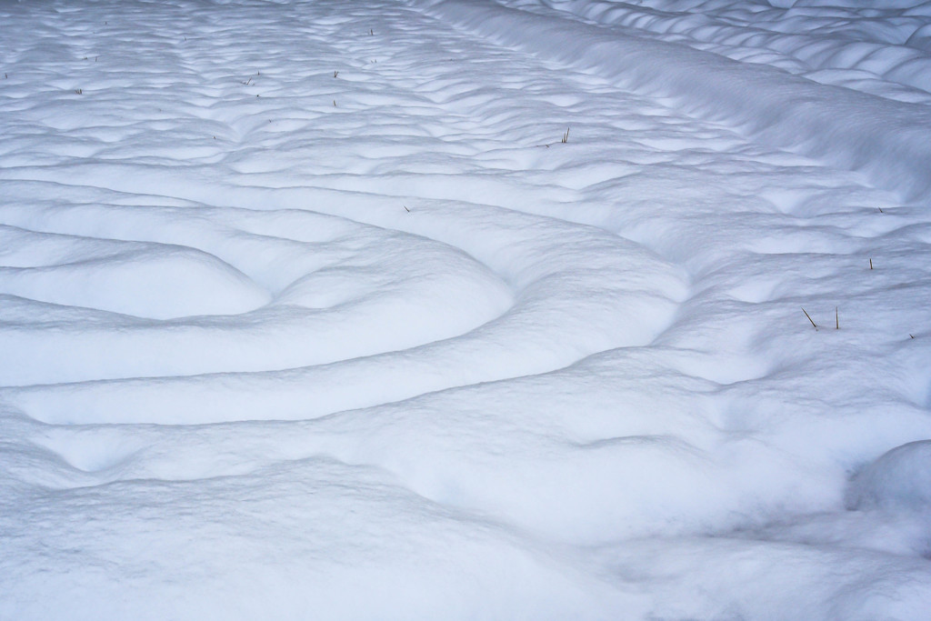 畑の雪化粧