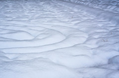 畑の雪化粧