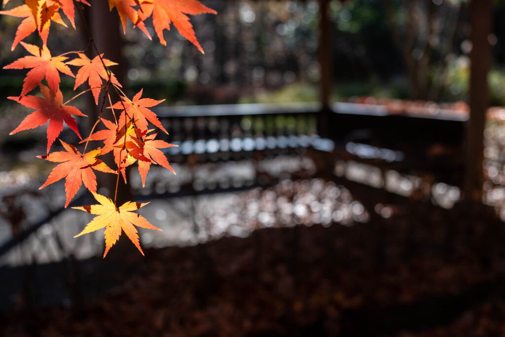 公園にて