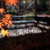 公園にて