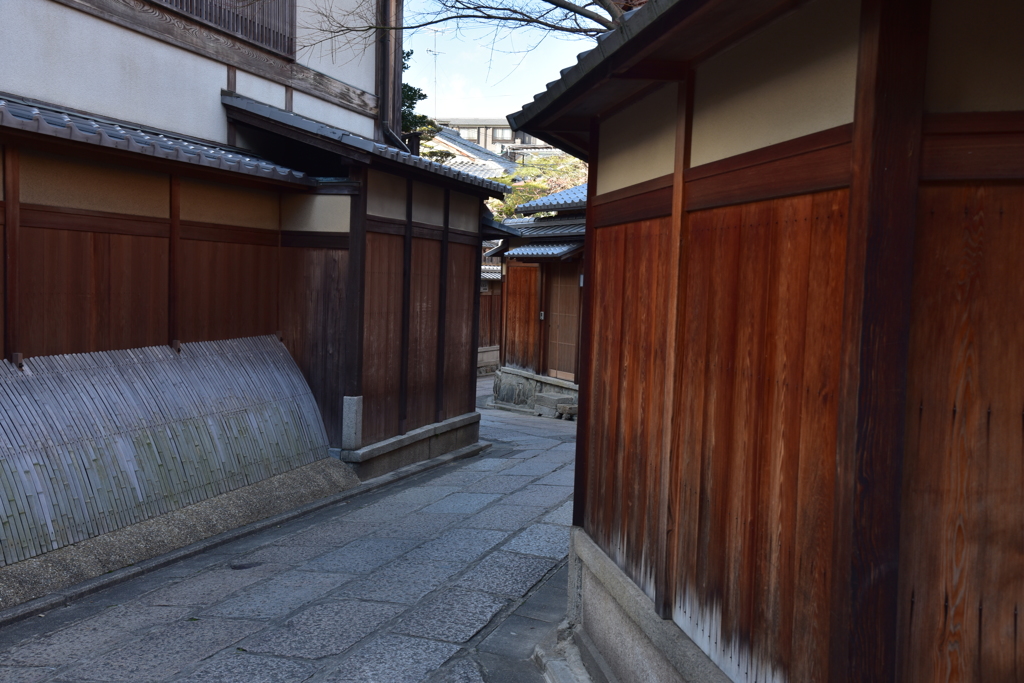 出合いの期待　高台寺裏道