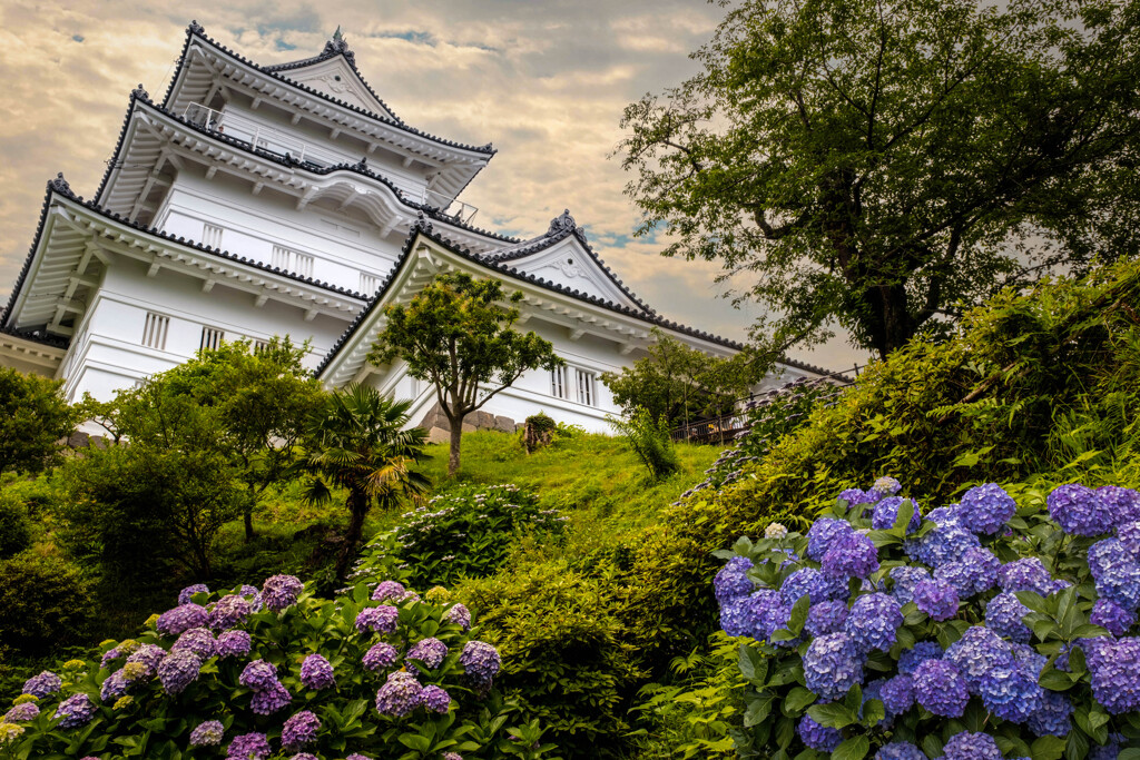 お城と紫陽花