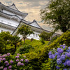 お城と紫陽花