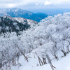 霧氷林と鈴鹿の峰々
