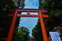 下賀茂神社　鳥居より