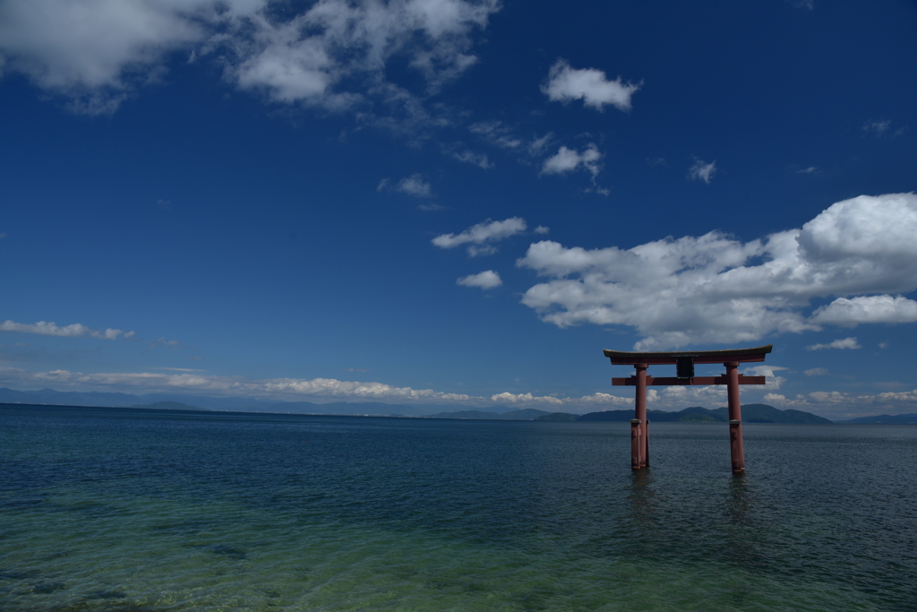 空気も澄む白鬚神社　大鳥居　其の二