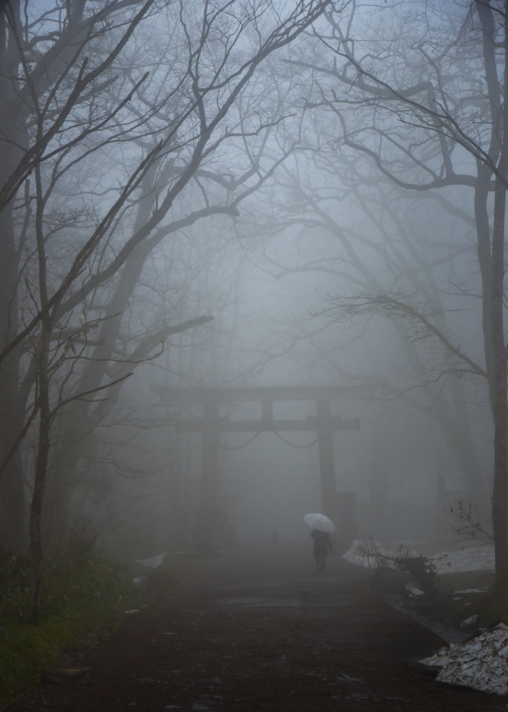 戸隠神社　奥社鳥居