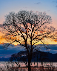 湖北の夕景